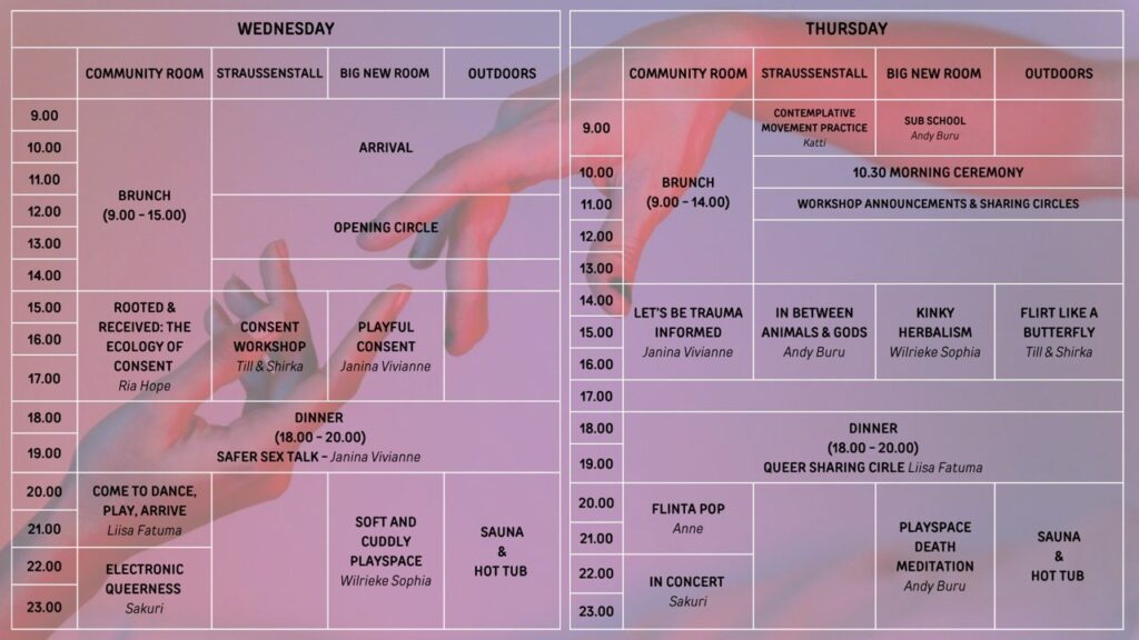 program-1